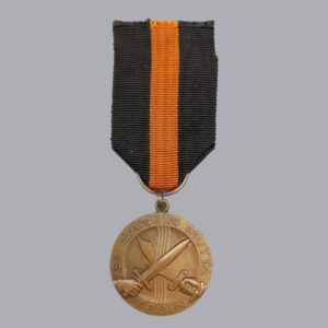 FINNISH WWI CAMPAIGN MEDAL (AUNUS 1919)